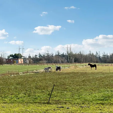 Awesome In With Wifi Сasa de vacaciones Bredebro